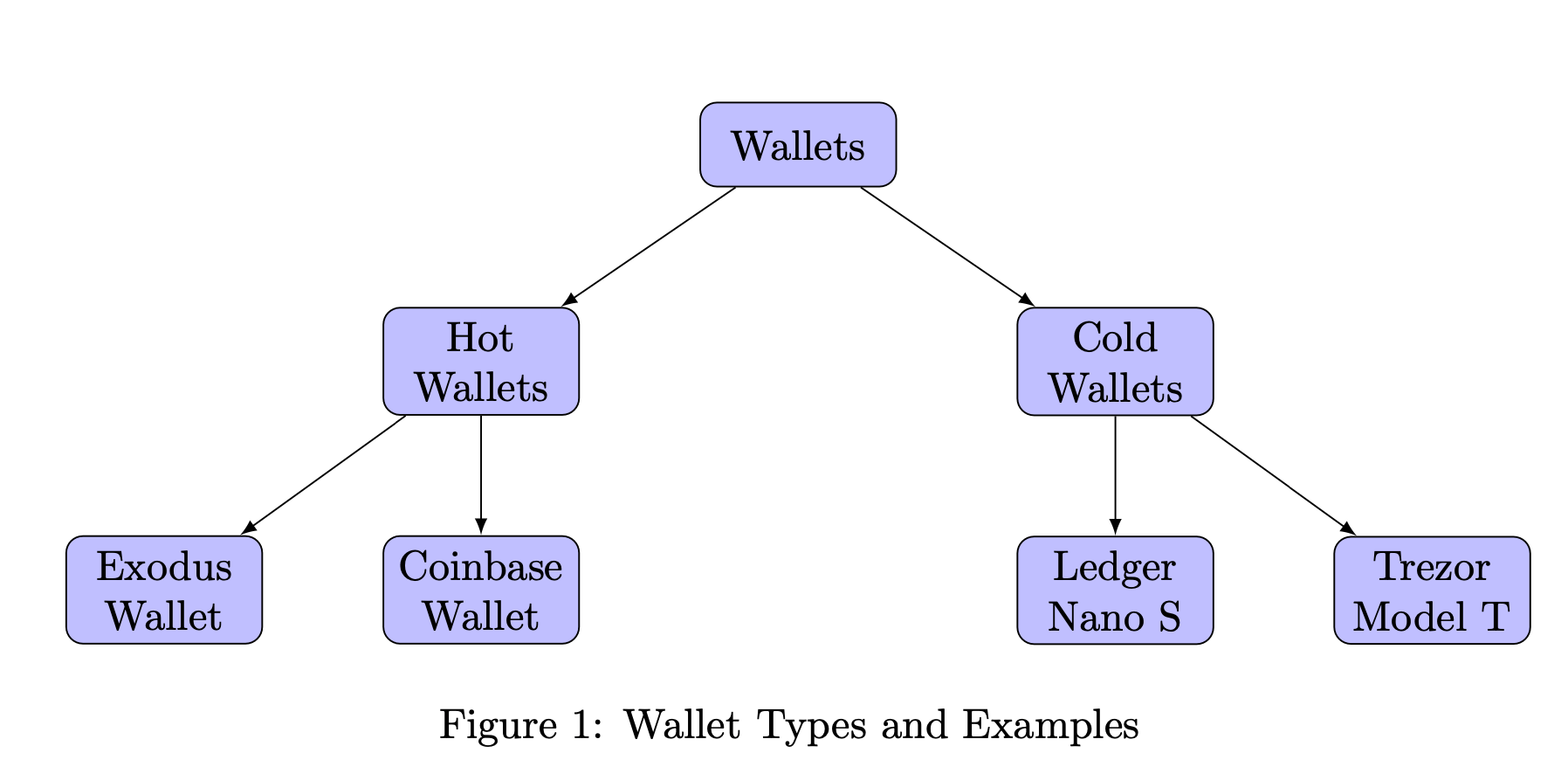 Types of Wallet with example